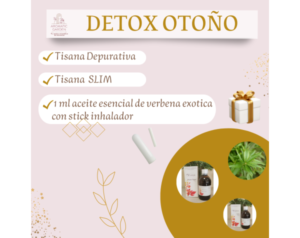 plan detox otoño plan detox otoño