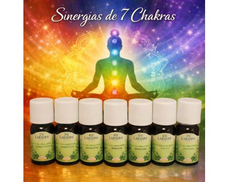 Kit Reequilibrio de Chakras con Aceites Esenciales – Aromatic Garden