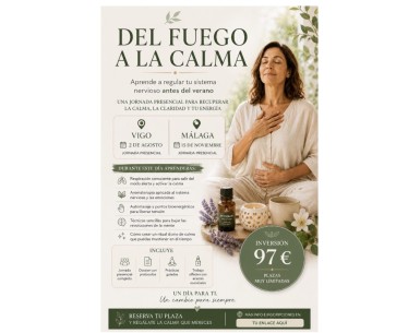 Del Fuego a la Calma | Experiencia de Regulación en Vigo