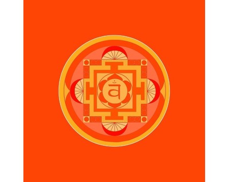 Sinergia Chakra 2 Svadhisthana | Creatividad y Equilibrio Emocional