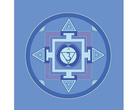 Sinergia Chakra 6 (Ajna) – Aceites esenciales para enfoque y claridad