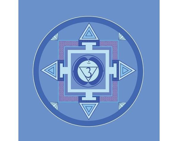 Sinergia Chakra 6 (Ajna) – Aceites esenciales para enfoque y claridad Sinergia Chakra 6 (Ajna) – Aceites esenciales para enfoque y claridad