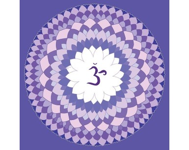 Los chakras y la aromaterapia 2