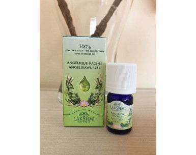 🌿 Aceite Esencial de Raíz de Angélica | Equilibrio y Bienestar Natura